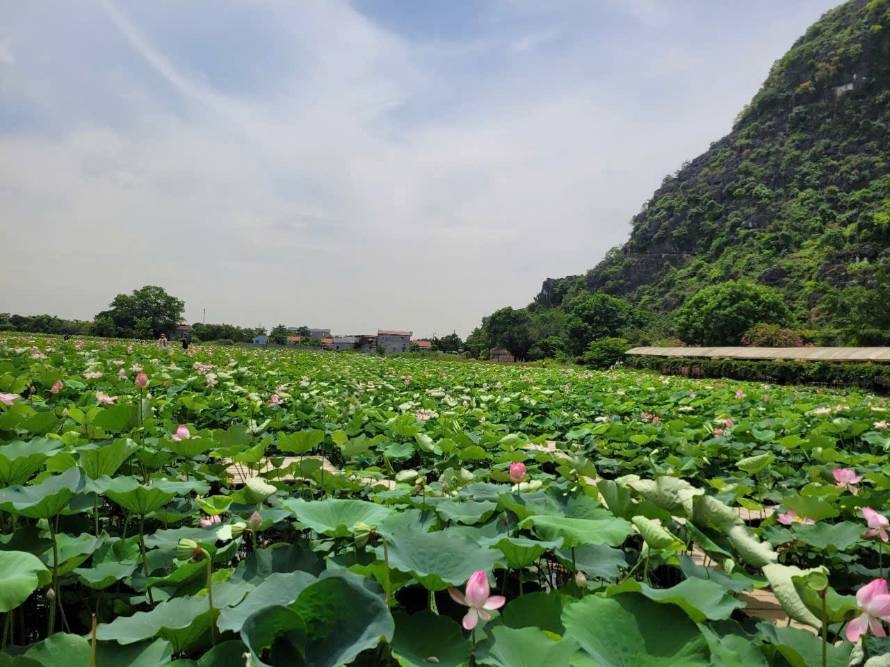 khách sạn 1